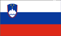 Slovenski jezik
